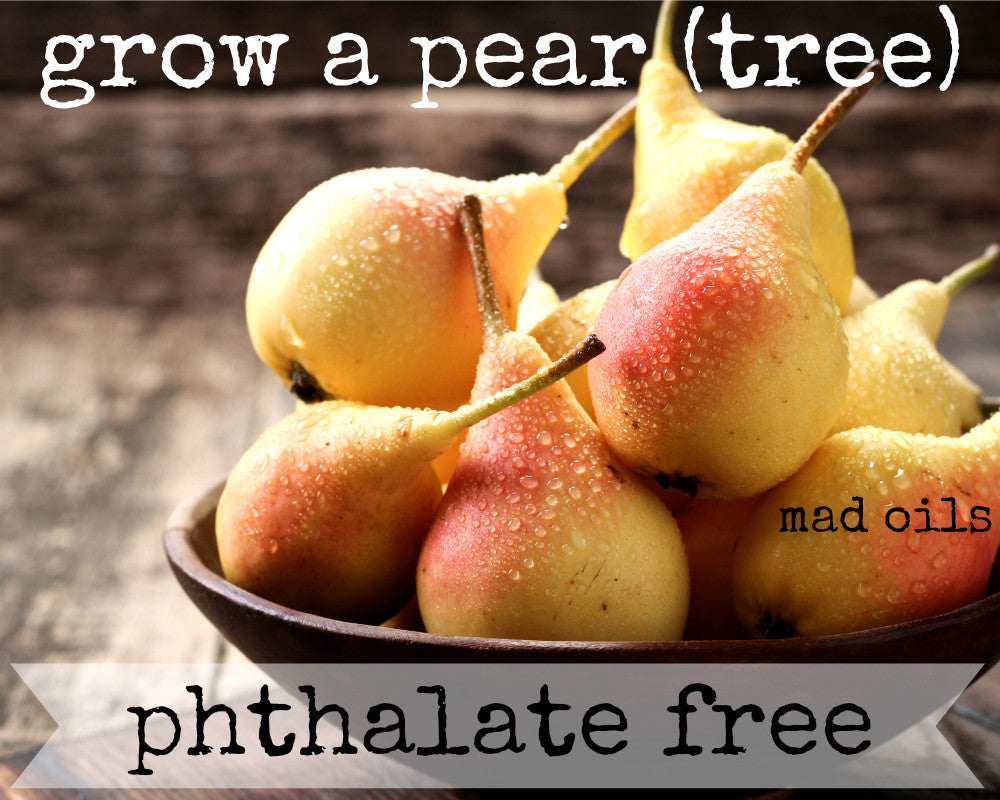 Grow A Pear (Tree) Fragrance Oil