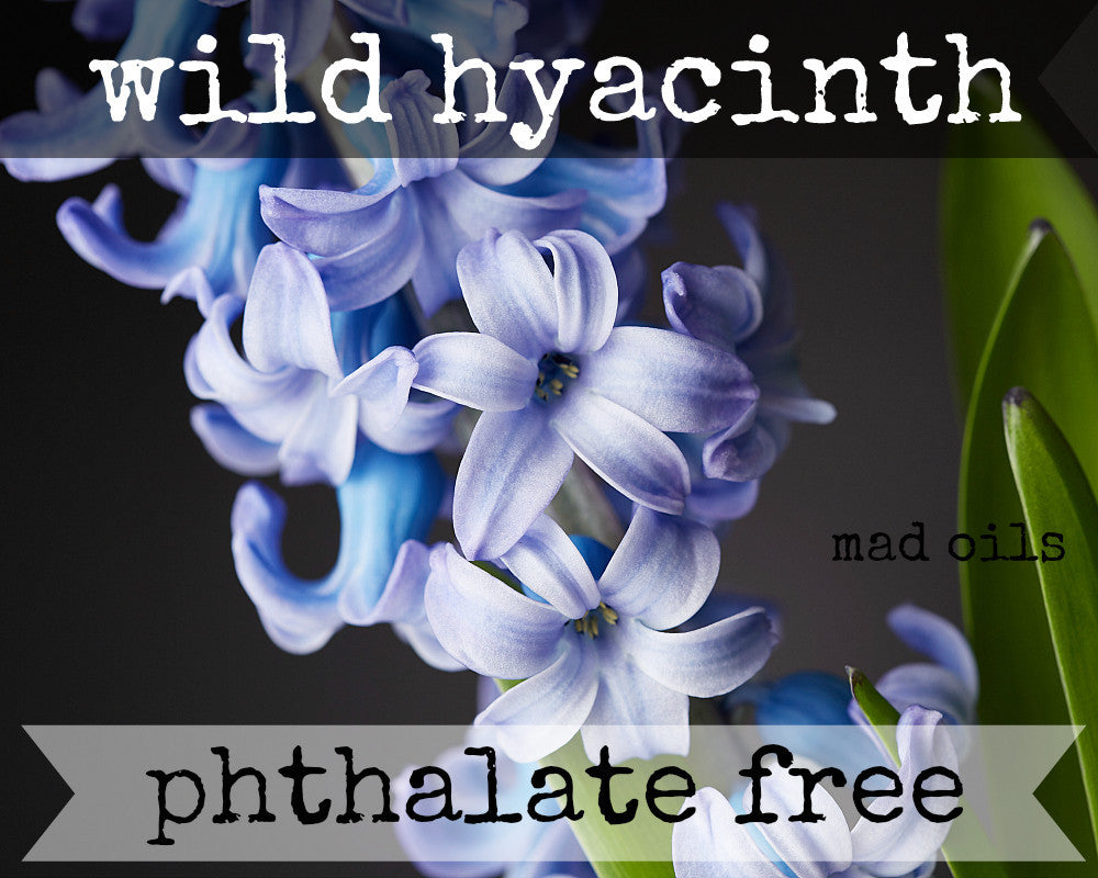 Wild Hyacinth Fragrance Oil